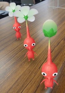 �s�N�~���Ɓi�΁j�B